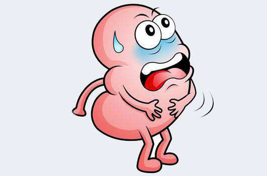 腎臟B超與腎臟彩超區別？