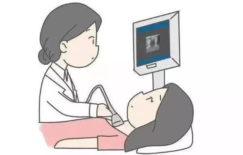 腸胃不好，用B超機做個超聲檢查